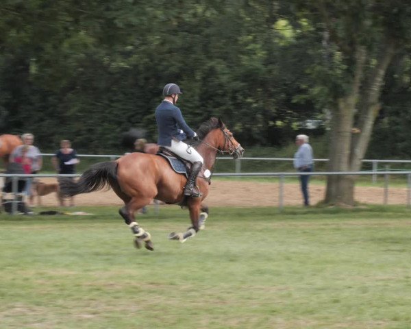 Reitturnier Wohlesbostel 2021