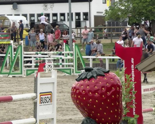 Reitturnier Melle-Ostenfelde 2021
