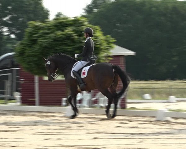Reitturnier Wohlesbostel 2021
