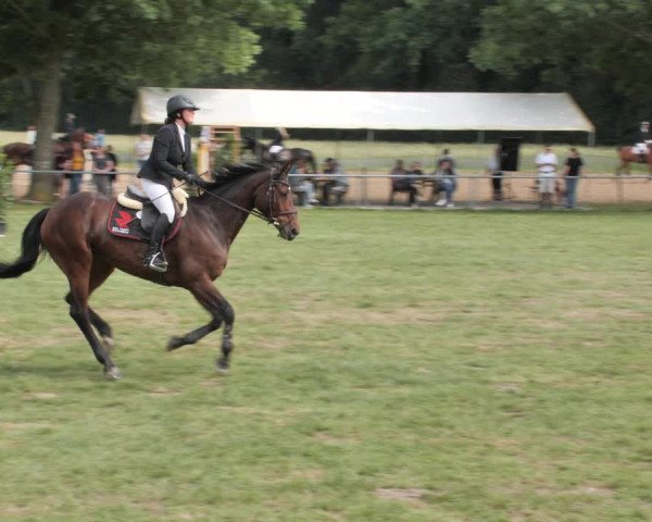 Reitturnier Wohlesbostel 2021