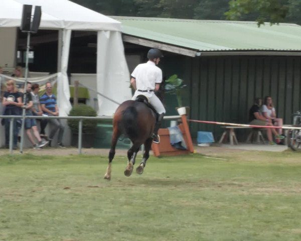 Reitturnier Wohlesbostel 2021