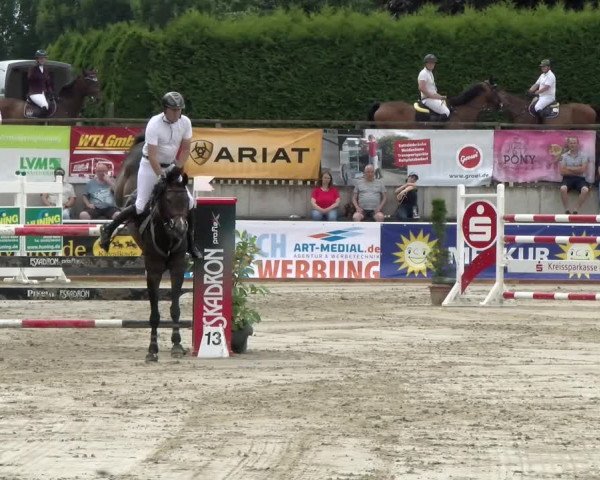 Reitturnier Melle-Ostenfelde 2021