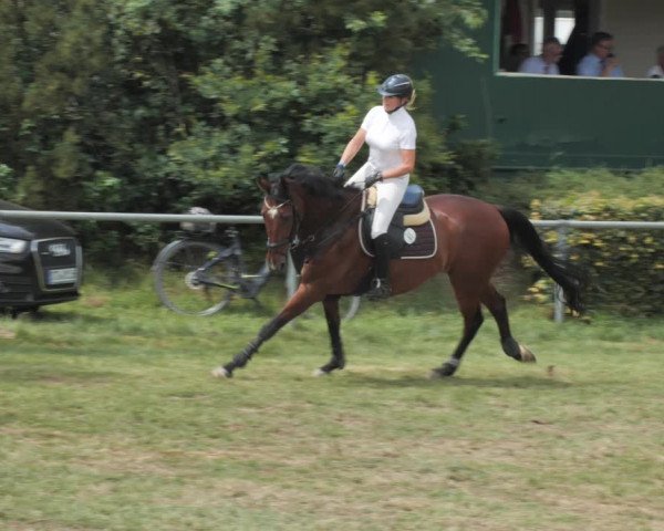 Reitturnier Wohlesbostel 2021