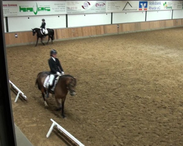 Reitturnier Rhede 2021