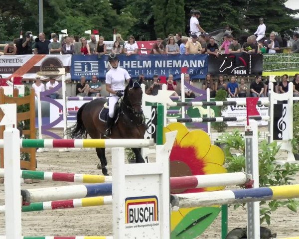 Reitturnier Melle-Ostenfelde 2021