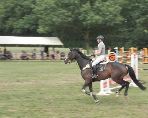 Reitturnier Wohlesbostel 2021