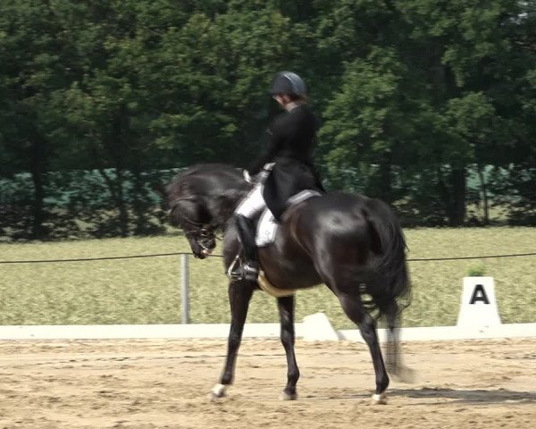Reitturnier Wohlesbostel 2021