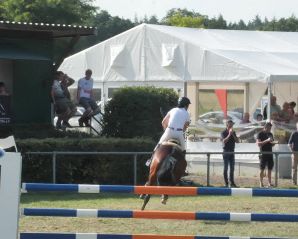 Reitturnier Wohlesbostel 2021