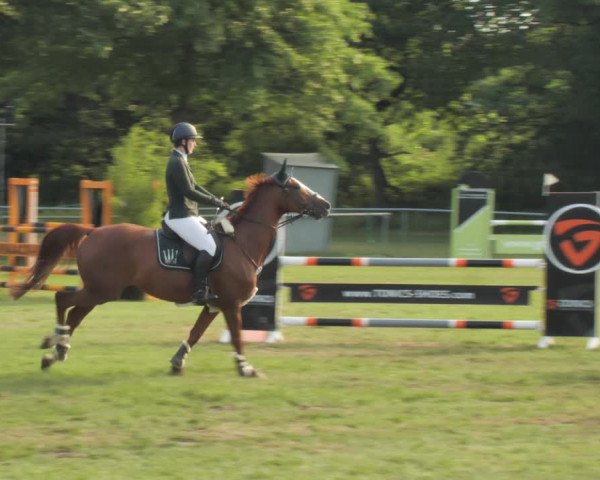 Reitturnier Wohlesbostel 2021