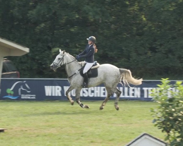 Reitturnier Wohlesbostel 2021