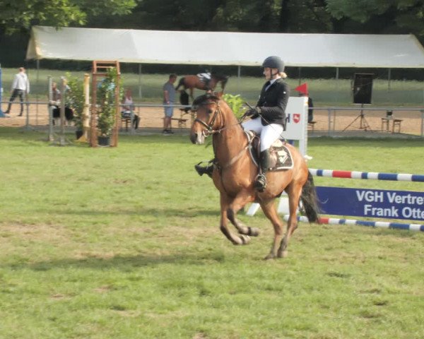 Reitturnier Wohlesbostel 2021