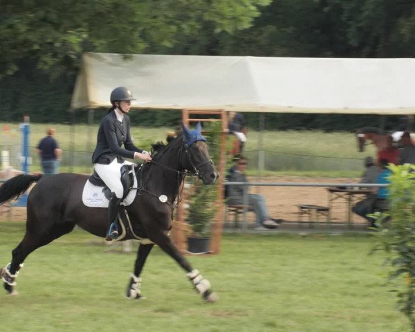 Reitturnier Wohlesbostel 2021