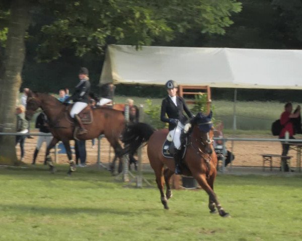 Reitturnier Wohlesbostel 2021
