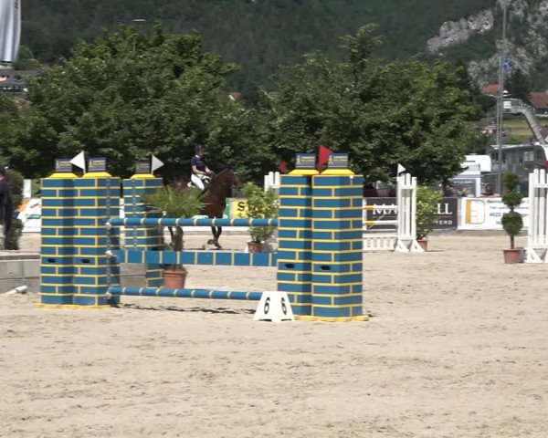 Reitturnier Balsthal 2021
