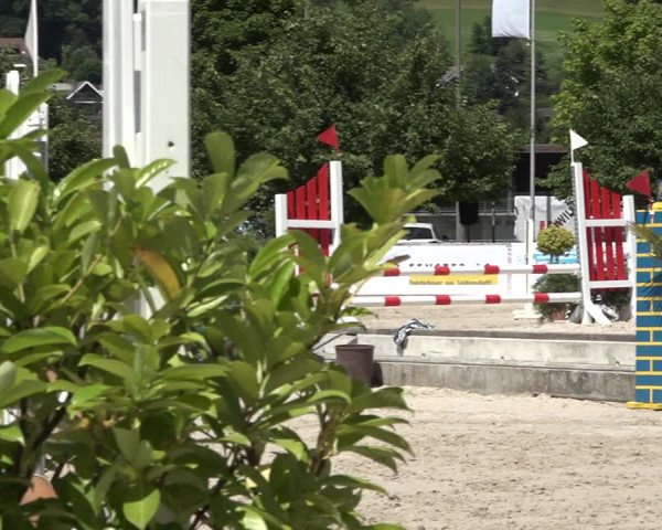 Reitturnier Balsthal 2021