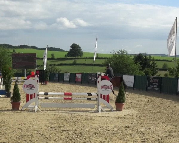 Reitturnier Lindlar-Süttenbach 2021