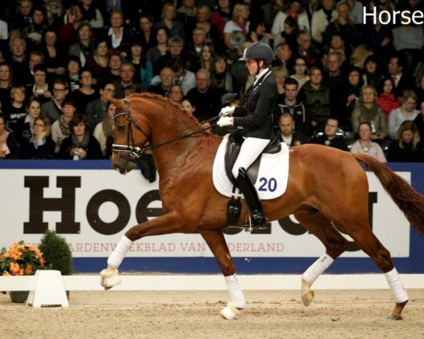 stallion Estoril (KWPN (Royal Dutch Sporthorse), 2009, from Zhivago) stallion Estoril (KWPN (Royal Dutch Sporthorse), 2009, from Zhivago)