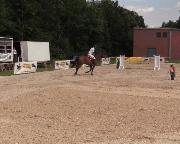Reitturnier Albersdorf Dithmarsenpark 2021