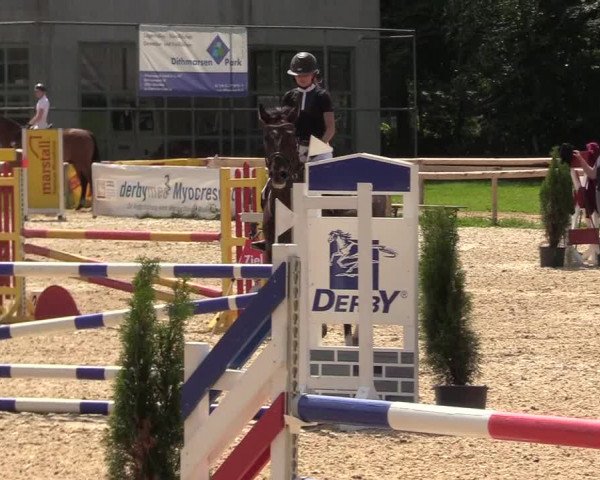 Reitturnier Albersdorf Dithmarsenpark 2021