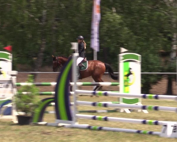 Reitturnier Niederwerbig 2021