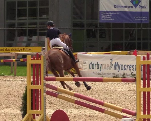 Reitturnier Albersdorf Dithmarsenpark 2021