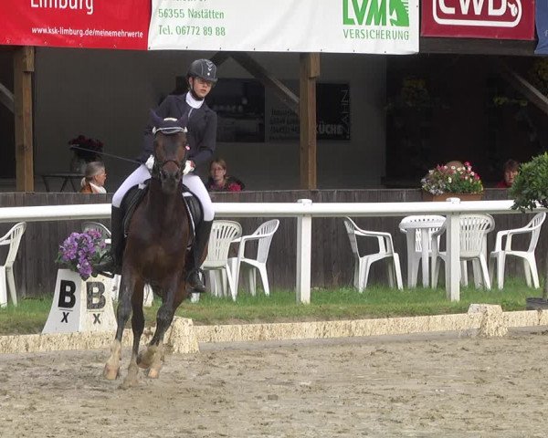 Reitturnier Hünfelden-Kirberg 2021