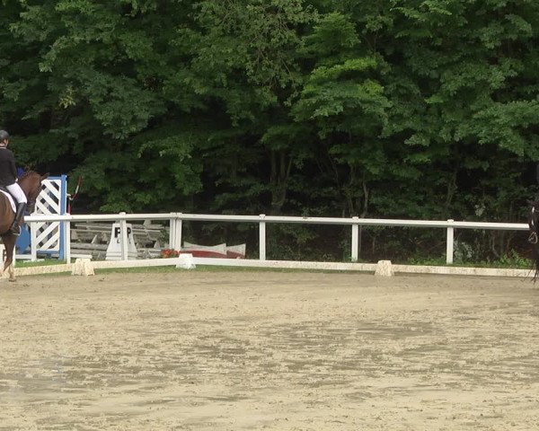 Reitturnier Hünfelden-Kirberg 2021