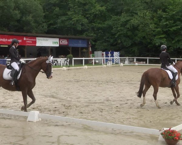 Reitturnier Hünfelden-Kirberg 2021