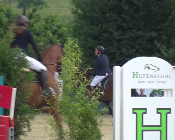 Reitturnier Lindlar-Süttenbach 2021