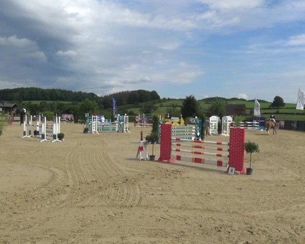 Reitturnier Lindlar-Süttenbach 2021