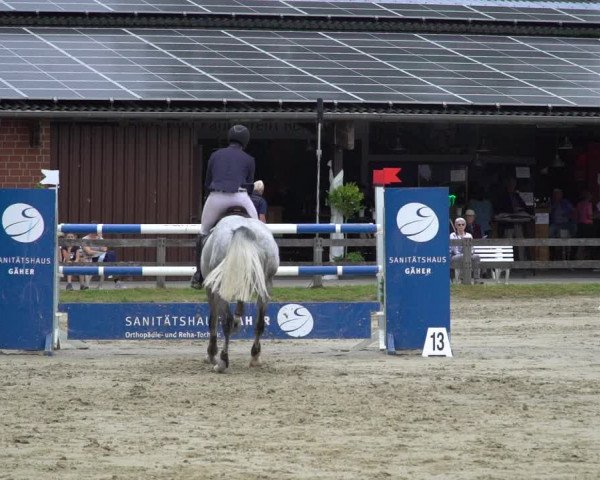 Reitturnier Münster-Roxel 2021