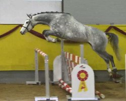 jumper Cloud 28 (Bavarian, 2010, from Ciacomo)