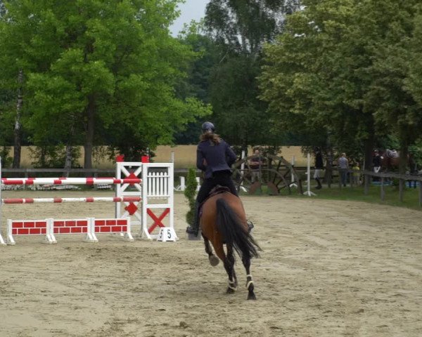 Reitturnier Münster-Roxel 2021