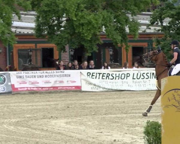 Reitturnier Haren/Lüssing 2021