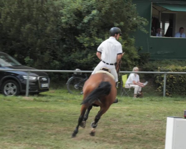 Reitturnier Wohlesbostel 2021