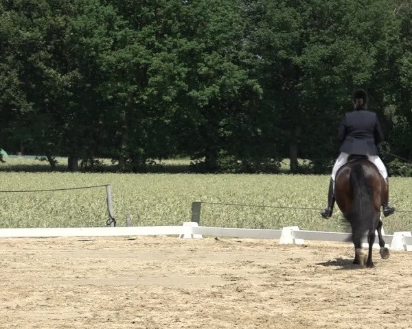 Reitturnier Wohlesbostel 2021