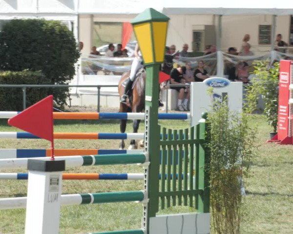 Reitturnier Wohlesbostel 2021