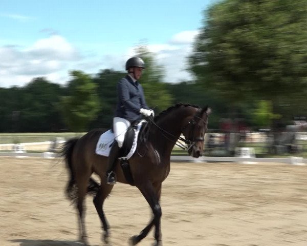 Reitturnier Wohlesbostel 2021
