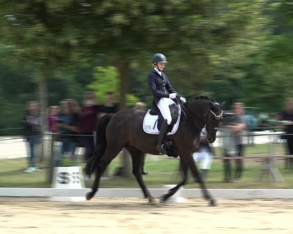 Reitturnier Wohlesbostel 2021