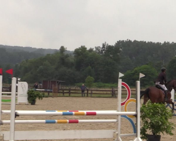 Reitturnier Hemer-Oese an der Edelburg 2021