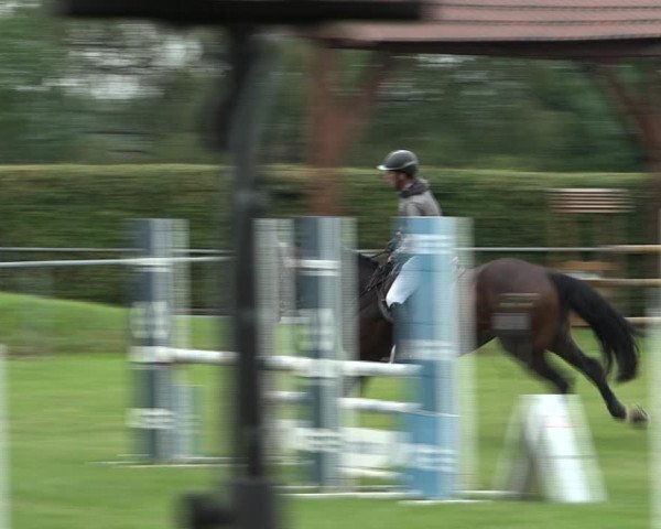 Reitturnier Moringen 2021
