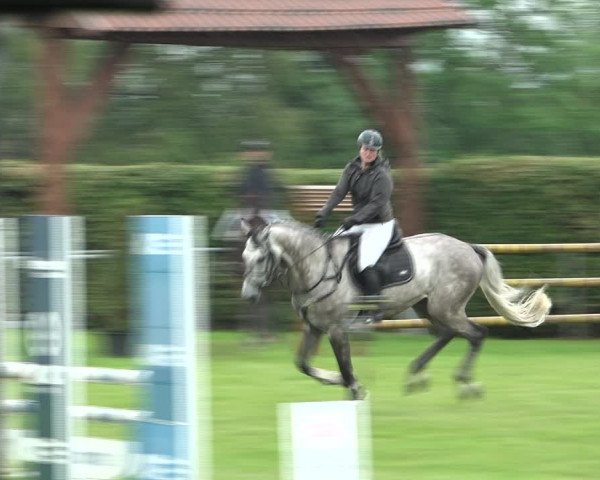 Reitturnier Moringen 2021