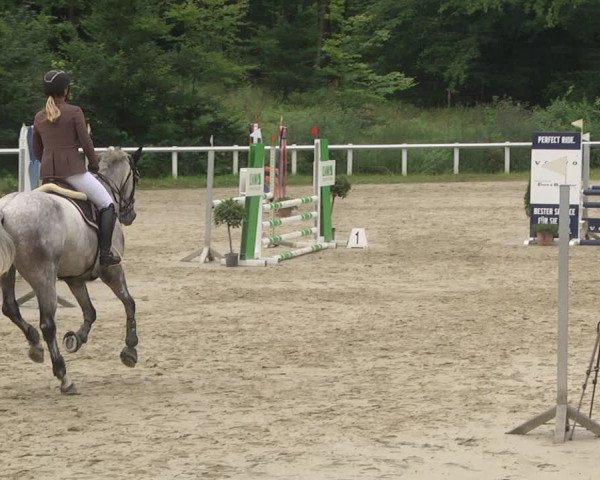Reitturnier Hünfelden-Kirberg 2021