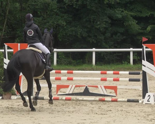 Reitturnier Hünfelden-Kirberg 2021
