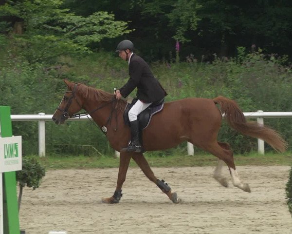 Reitturnier Hünfelden-Kirberg 2021