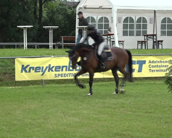 Reitturnier Moringen 2021