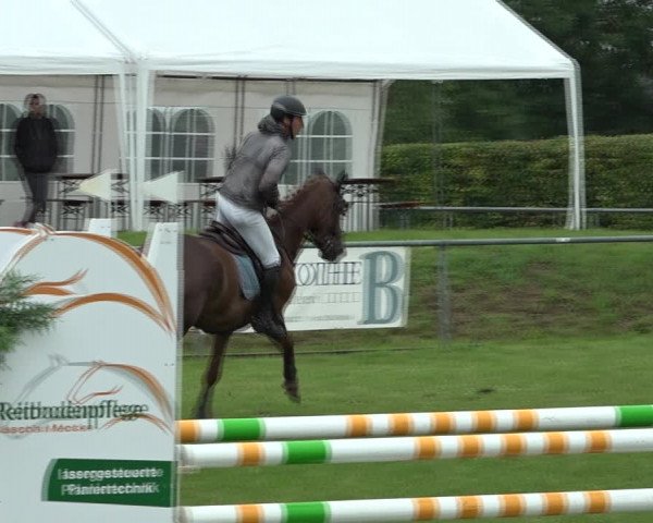 Reitturnier Moringen 2021