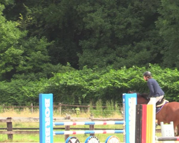 Reitturnier Hemer-Oese an der Edelburg 2021