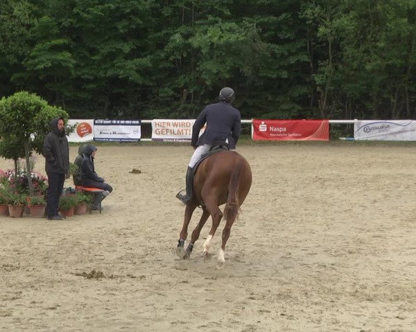 Reitturnier Hünfelden-Kirberg 2021