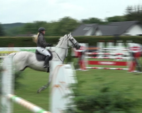 Reitturnier Moringen 2021
